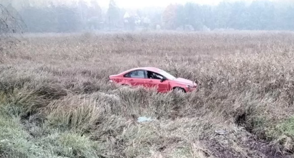 fot. Komenda Powiatowa Państwowej Straży Pożarnej w Radzyniu Podlaskim