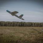 Fotka nr 5 z 8